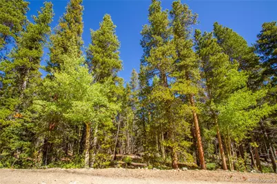 154 Georges Way, Alma, CO 80420 - Photo 1