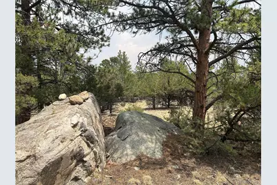 30160 Princeton Circle, Buena Vista, CO 81211 - Photo 1