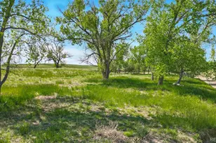 Parcel C W County Road 105, Ramah, CO 80832 - Photo 1