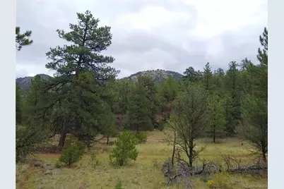 000 Gold Pan Trail, Cotopaxi, CO 81223 - Photo 1