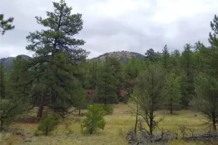 000 Gold Pan Trail, Cotopaxi, CO 81223 - Photo 1