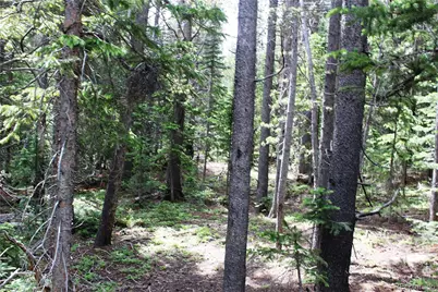 Lot 209 Upper Forest Road, Idaho Springs, CO 80452 - Photo 1