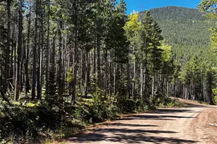 3443 Drexler Pl, Fort Garland, CO 81133 - Photo 1