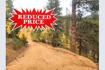 342 & 366 Brown Street, Bailey, CO 80421 - Photo 1