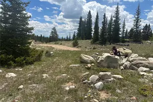 4 Timberline Trail, Fairplay, CO 80440 - Photo 1