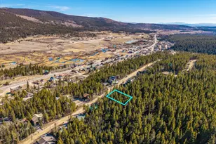 421 N Aspen St, Alma, CO 80420 - Photo 1