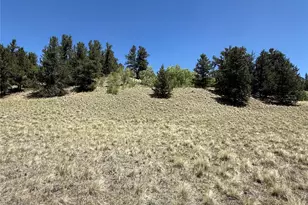 491 Abandoned Railroad, Fairplay, CO 80440 - Photo 1