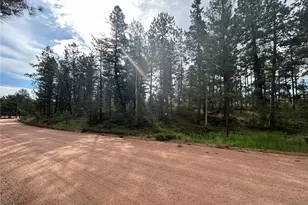 664 Calle De La Lluvia, Florissant, CO 80816 - Photo 1