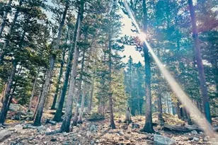 265 Brook Dr, Idaho Springs, CO 80452 - Photo 1