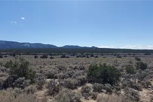 1748 Sleger Rd, Fort Garland, CO 81133 - Photo 1