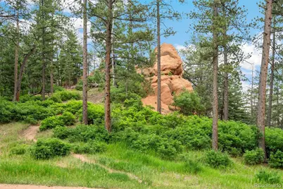 4580 Delaware Drive, Larkspur, CO 80118 - Photo 1