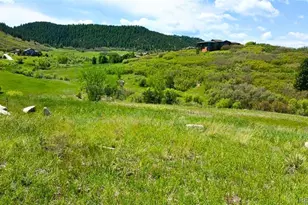 4040 Bell Mountain Dr, Castle Rock, CO 80104 - Photo 1