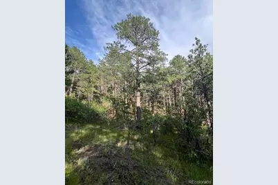 19855 Capella Drive, Monument, CO 80132 - Photo 1