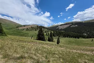 15743 Big Johnnie 13, Leadville, CO 80461 - Photo 1