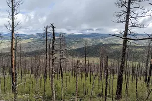 490 Soubry, Fort Garland, CO 81133 - Photo 1