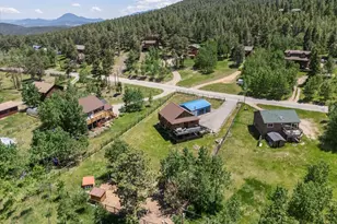 689 S Pine Dr, Bailey, CO 80421 - Photo 1