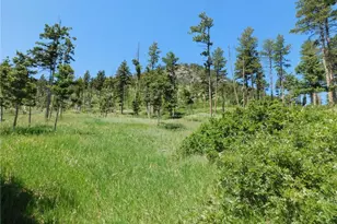 8276 Yuma Cir, Larkspur, CO 80118 - Photo 1