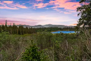 2715 County Rd 14-A, Alma, CO 80420 - Photo 1