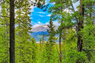 0000 Dry Gulch, Fairplay, CO 80440 - Photo 1