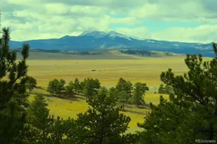 Co-9, Hartsel, CO 80449 - Photo 1