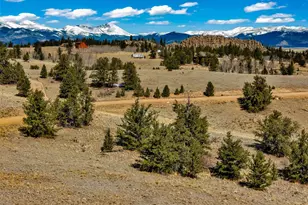 288 Breton Cir, Como, CO 80432 - Photo 1