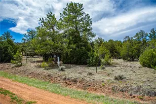200 Cottonwood Dr, Cotopaxi, CO 81223 - Photo 1