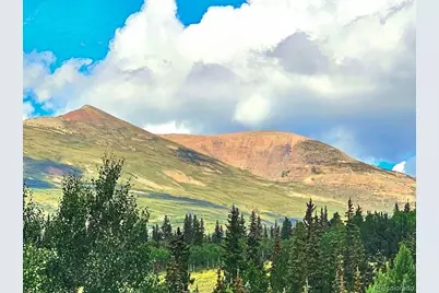 295 Silver Plume Road, Fairplay, CO 80440 - Photo 1