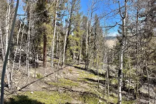 2834 Middle Fork Vista, Fairplay, CO 80440 - Photo 1