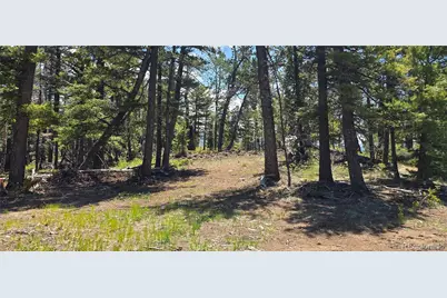 Lot 5546 Balleroy Road, Fort Garland, CO 81133 - Photo 1
