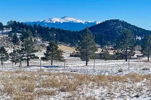 43 Stoll Cir, Lake George, CO 80827 - Photo 1