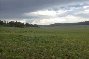 Dog Chief Trail, Hartsel, CO 80449 - Photo 1