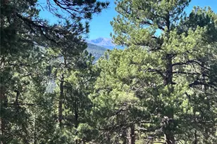 0 White House, Evergreen, CO 80439 - Photo 1