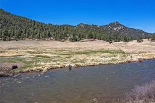 24676 River Meadow Dr, Buffalo Creek, CO 80425 - Photo 1