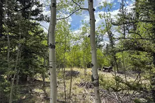 514 Chief Trail, Como, CO 80432 - Photo 1