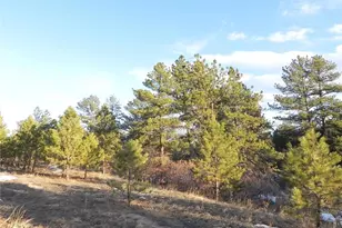 2366 Lupine Cir, Larkspur, CO 80118 - Photo 1