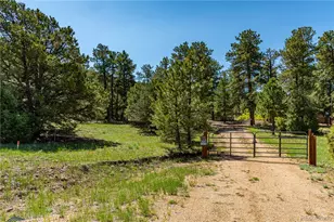 288 Bear Ln, Cotopaxi, CO 81223 - Photo 1