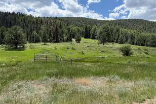 7700 Junkins Pk, Westcliffe, CO 81252 - Photo 1