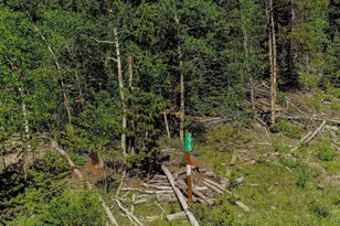 275 Mine Dump Rd, Fairplay, CO 80440 - Photo 1