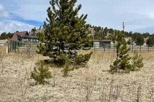 57 Fish Creek, Florissant, CO 80816 - Photo 1