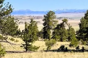 101 Maricopa Trail, Hartsel, CO 80449 - Photo 1