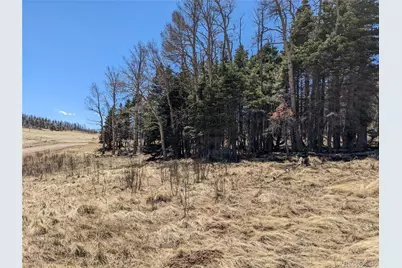 2056 Forbes Park Road, Fort Garland, CO 81133 - Photo 1