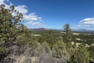 Tr-121 19th Trail, Cotopaxi, CO 81223 - Photo 1