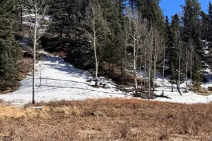 506 Arrowhead Rd, Florissant, CO 80816 - Photo 1