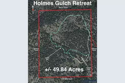 1667 Co Road 835, Bailey, CO 80421 - Photo 1