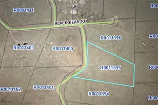 Lot 30 Black Beaver Rd, Hartsel, CO 80449 - Photo 1