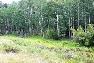 344 Grey Eagle Dr, Cripple Creek, CO 80814 - Photo 1