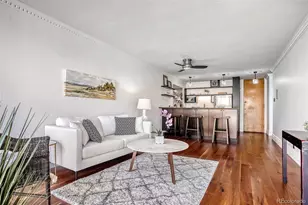 1050 N Corona Street, Denver, CO 80218 - Photo 1