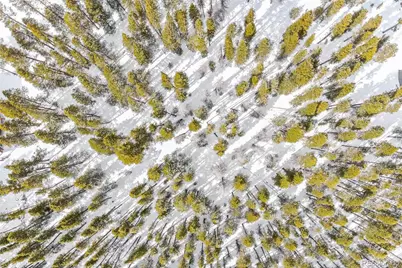 709/710 Texas Dr, Idaho Springs, CO 80542 - Photo 1