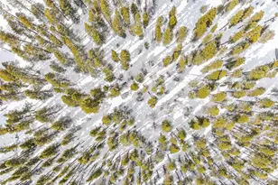 709/710 Texas Dr, Idaho Springs, CO 80542 - Photo 1