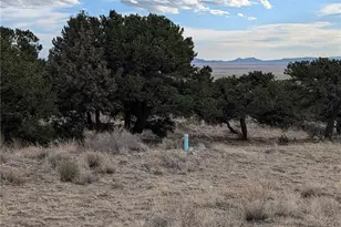 Lot 2 20th St, Blanca, CO 81123 - Photo 1
